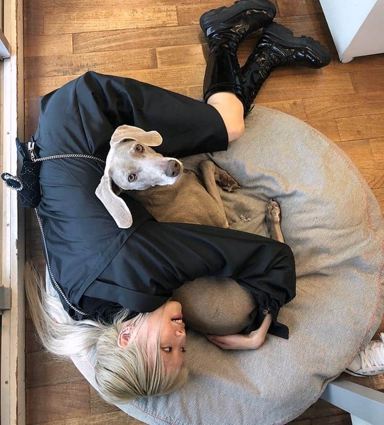 フェルナンダ・リーのインスタグラム：「At @donnamodels.jp with Bebechan 🤧」