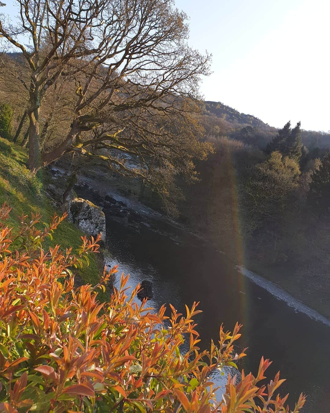 ソン・ジェリムさんのインスタグラム写真 - (ソン・ジェリムInstagram)「. there's  color of four seasons #snowdonia」4月11日 17時39分 - jaelim_song