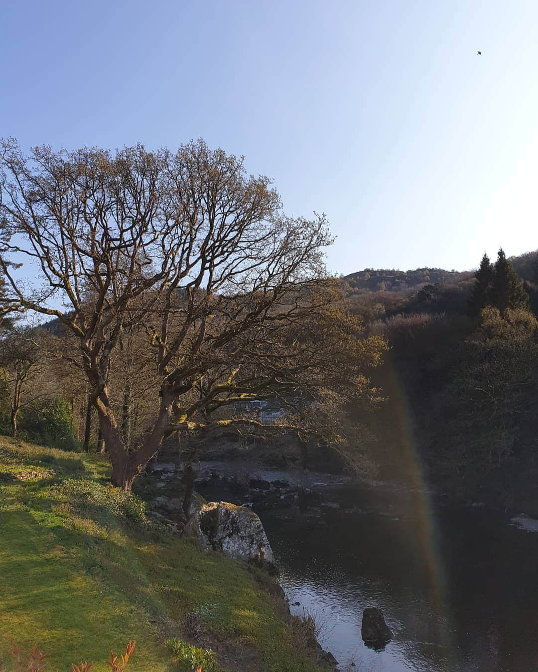 ソン・ジェリムさんのインスタグラム写真 - (ソン・ジェリムInstagram)「. there's  color of four seasons #snowdonia」4月11日 17時39分 - jaelim_song