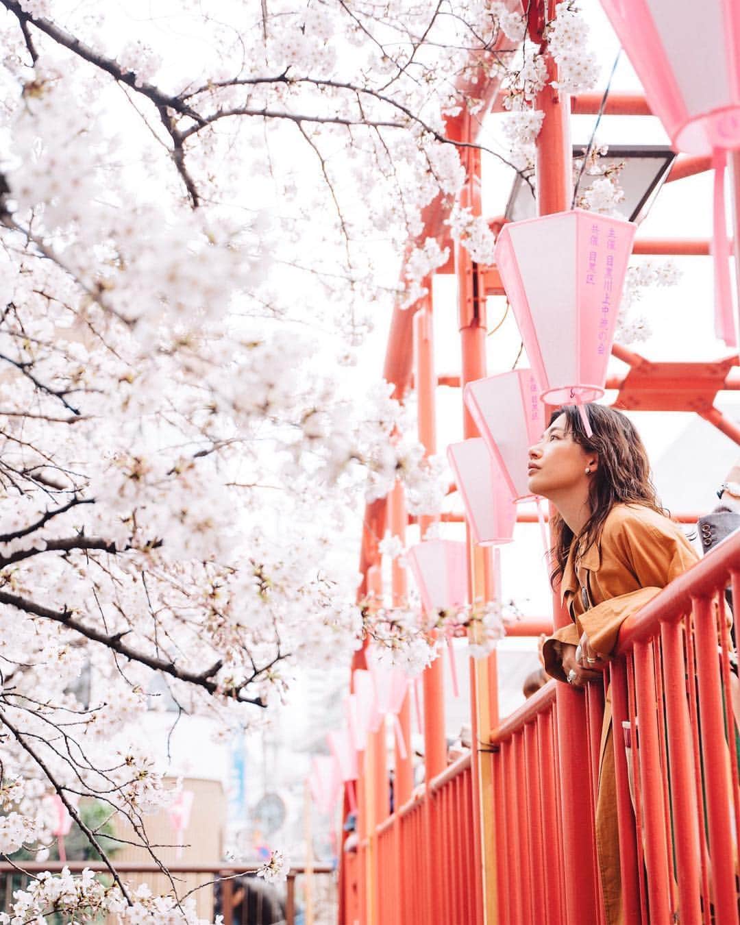 GENTAのインスタグラム：「今年は長く楽しめた東京の桜もそろそろ終わり🌸 桜の名所な近所の喧騒も過ぎ去り、やっと日常が帰ってきました。やっとスーパーに買い物に行ける…😅 ㅤ My original Lightroom presets were released at @curbonjp . Please check the URL on my profile for detail. ㅤ 僕のオリジナルLightroomプリセットが @curbonjp から発売されました。配信されているプリセットは僕が実際に写真編集で利用しているものです。プリセットの詳細はプロフィールのURLからご確認ください。 ㅤ」