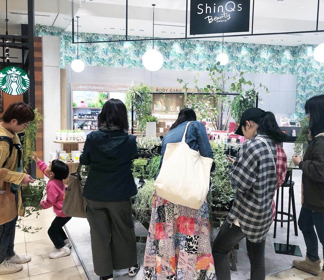 いなざうるす屋のインスタグラム