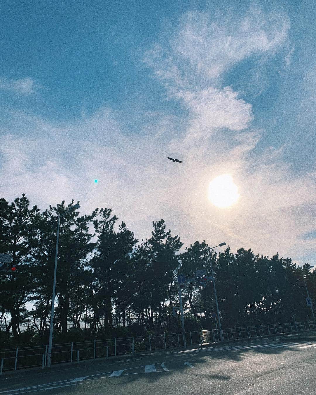sayocoのインスタグラム：「今日はのんびり過ごす休日⛅️ 洗濯日和でよかった🌈👕 #主婦 ・ ・ 写真は #ROUTE134 🚘🚥 #chigasaki 🌊💗」