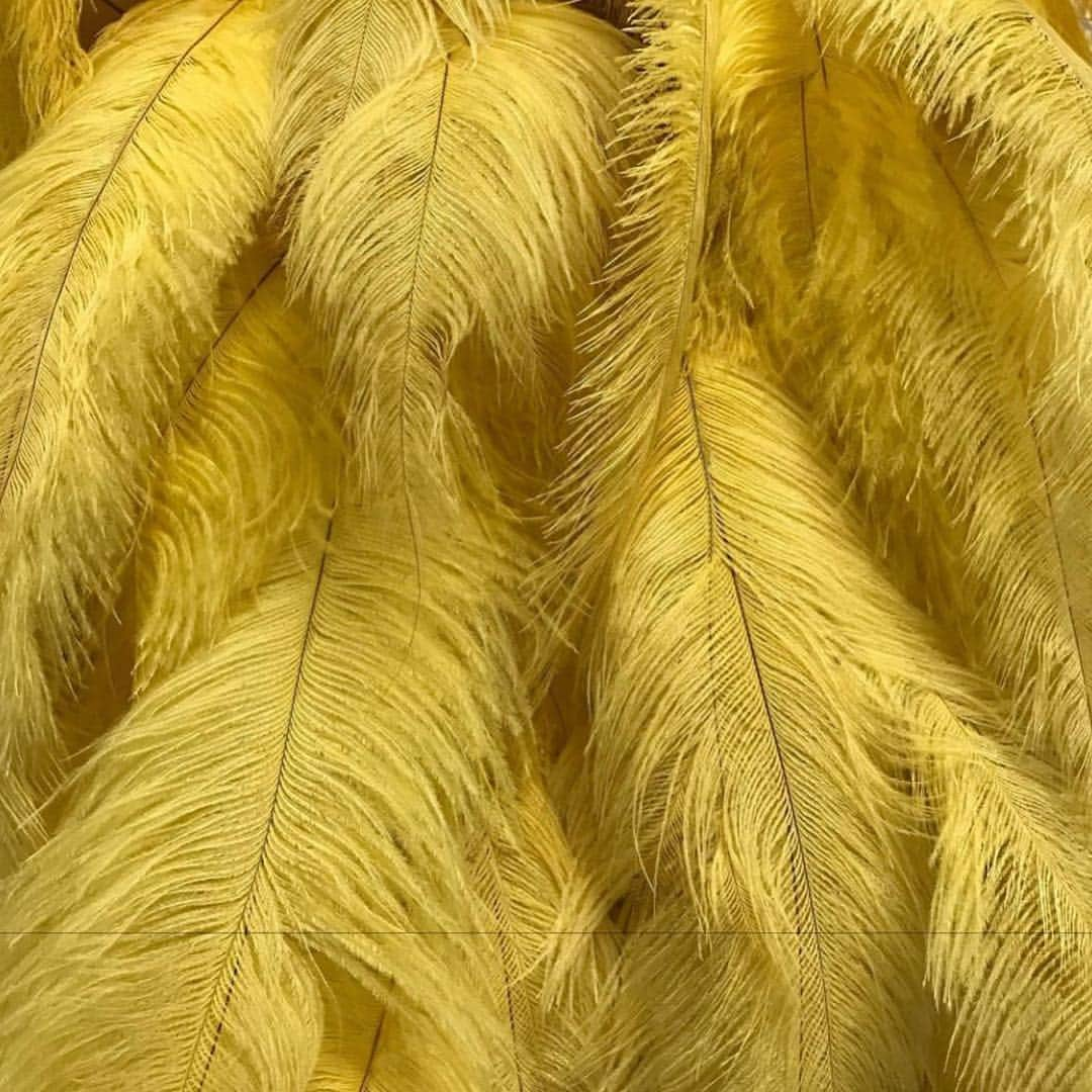 Moschinoさんのインスタグラム写真 - (MoschinoInstagram)「💜💛🧡 #Repost @metcostumeinstitute ・・・ Wednesdays are Camp Conservation days with behind-the-scenes peeks at The #CostumeInstitute Conservation team preparing for the opening of “Camp: Notes on Fashion” on May 9. Feathers and butterflies filled our Conservation Lab after the arrival of these @Moschino by @itsjeremyscott dresses. Conservator Sarah Scaturro photographed and assessed both pieces, including the condition of each paper and feather butterfly. // Dress, House of Moschino by Jeremy Scott, spring/summer 2018, Courtesy of Moschino #TheMet #MetCamp #moschino #fashionconservation #BTS」4月11日 10時16分 - moschino