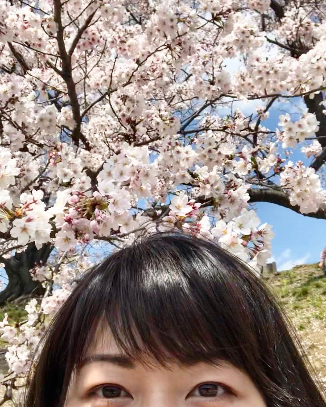 前田彩名さんのインスタグラム写真 - (前田彩名Instagram)「桜を見るたびに思い出すことが、 またひとつ、増えました。  私には珍しく、 登録していない電話番号からの着信を 迷わずに受けて、 その報せに言葉を失った。  後悔しないように、生きたいと思う。」4月11日 10時17分 - ayana.maeda