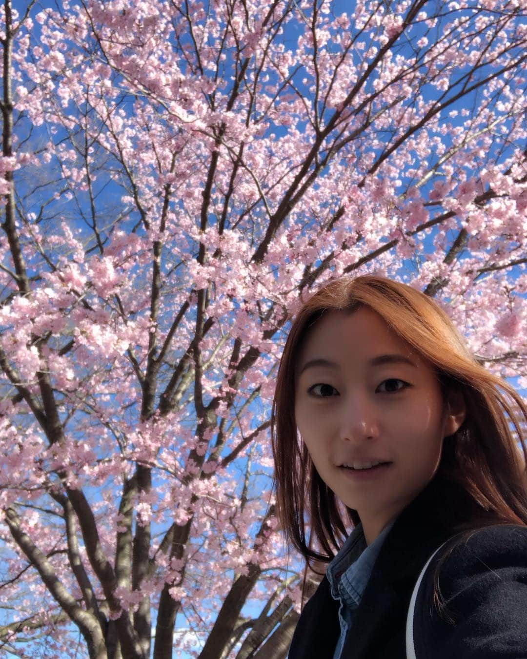 松村加南子さんのインスタグラム写真 - (松村加南子Instagram)「Spring has come!!! . セントラルパークの桜🌸 . 今年は桜見れないかもと思ってたからとっても嬉しい💓 . しかも再来週には桜祭り（英語名もSAKURA MATSURI！）があるらしい😮 . 今週からあったかくなってお散歩日和☺️ . 歩くのあんまり好きじゃないので日本にいるときは全然歩かないんだけど、ニューヨークでは素敵な光景がいっぱいあるからめちゃくちゃお散歩してる😊 . SAKURA in central park🌸 . I’m very grad to be able to see SAKURA in this season☺️ . The good time for go for walk has come to NYC!! . . #セントラルパーク #centralpark #お散歩 #花見 #お花見 #桜 #sakura #cherryblossom  #newyork #ny #nyc #ニューヨーク留学 #留学 #語学学校  #薬剤師 #薬剤師グラドル #加南子」4月11日 10時25分 - matsumurakanako