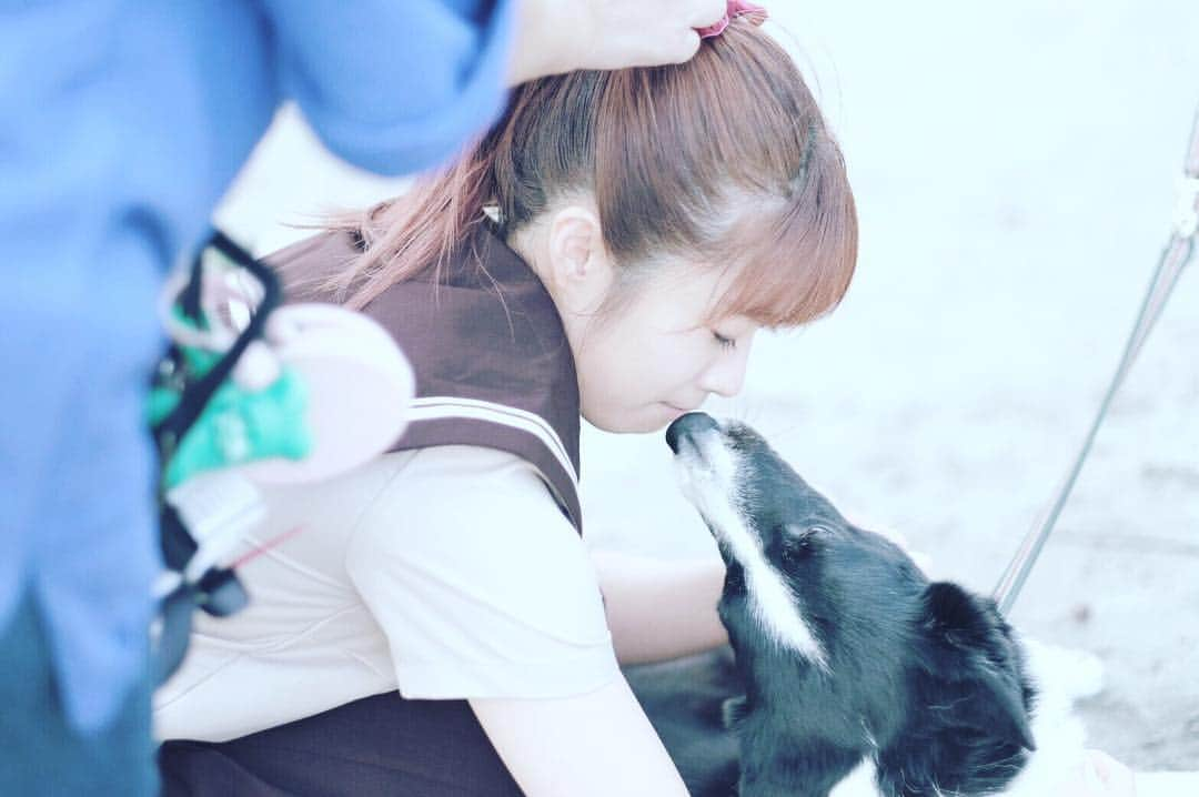 降幡愛写真集「いとしき」公式のインスタグラム：「わんちゃんになりたい🐶  #降幡愛 #降幡愛写真集 #いとしき #summer #日本の夏 #セーラー服」