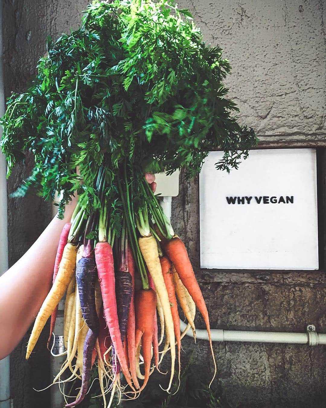 ORGANIC TABLE BY LAPAZのグルメインスタ