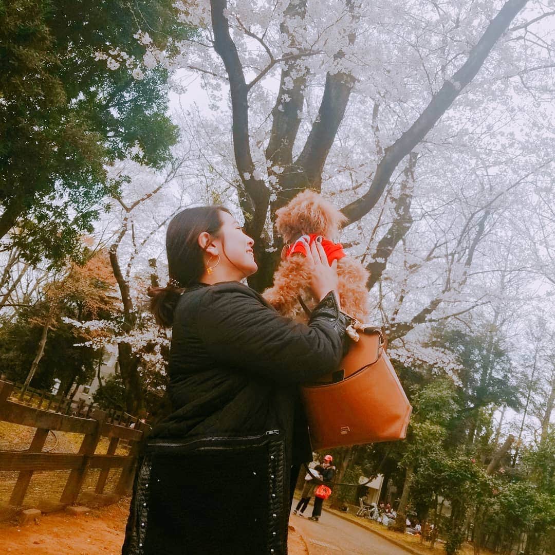 うさまりあのインスタグラム