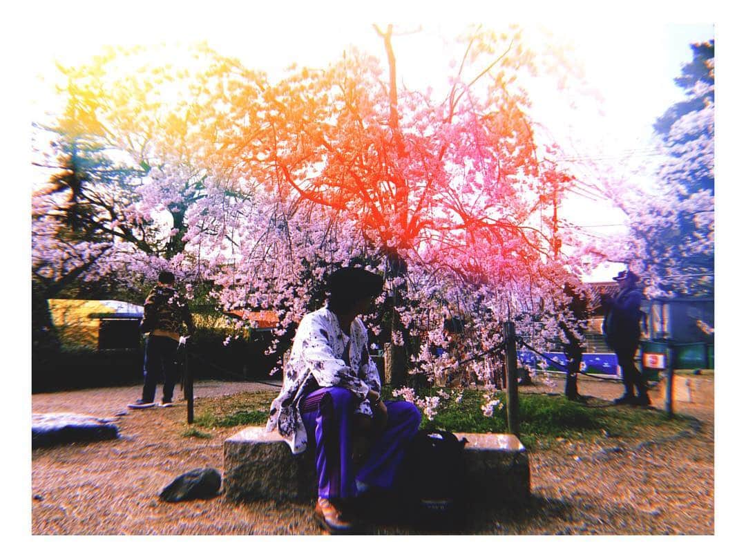 渡部秀さんのインスタグラム写真 - (渡部秀Instagram)「花は何度みてもよし。 風間さんから肉の差し入れ。 ありがとうございます。  #花見#納め」4月11日 11時17分 - shu_samurai