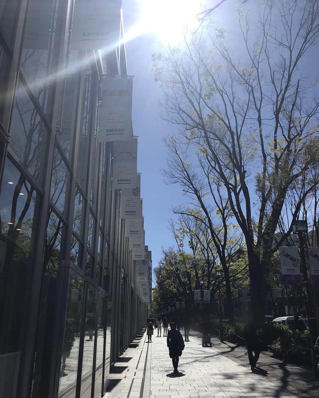 畑中葉子さんのインスタグラム写真 - (畑中葉子Instagram)「表参道  甲状腺一年定期検診。 全く問題なし。 良かった😄  #表参道 #景色 #風景 #omotesando #tokyo #japan #scenery #scene #yhscenery」4月11日 11時18分 - hatanaka_yoko