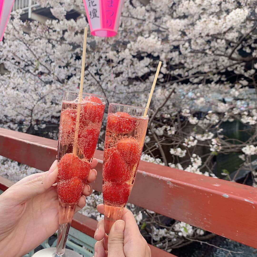 古田ちさこさんのインスタグラム写真 - (古田ちさこInstagram)「🌸🍓🍸 昨日の試合一緒にラジオとスポナビで追ってて喜んでる人(左)と凹んでる人(右)。 今さら感あるお花見写真🌸 前日お友達から『中目黒のお花見行った？』って聞かれて、『人多くて行く気しなくて〜』って言ってたのに。 可愛い子に誘われてホイホイ行ってしまったよ。笑 🌸 #中目黒#中目黒桜まつり#お花見#sakura#苺スパークリング#竹串ゆがんでる#お鮨ランチ#とろたく#あじ#しめさば#sushi#日本人で良かった」4月11日 11時31分 - chisakofuruta