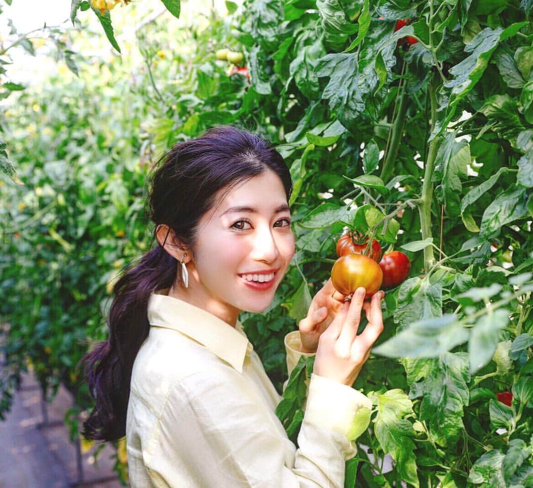 のインスタグラム：「🍅 浜名湖視察旅。 直売所《よらっせ》で 毎度売り切れてしまうほど人気の絶品トマト。  品種は桃太郎。 酸味と甘みのバランス抜群🙋‍♀️ たわわに実ったトマトに ほわ〜🤤 ・ ・ ・ ・  トマト農園は 小学校の頃にみんなで育てた鉢植えトマトを思い出す、 懐かしいかおり。  一一一一一一一一一一一一一一一一一一一一一一一一一一一一 #トマト#tomato#🍅#農園#farm#farmer#農業女子#農業男子#小林農園#浜名湖#浜松#静岡#shizuoka#hamamatsu#hamanako#vege#farmgirl#lovefarm#絶品#逸品#グルメ#浜松グルメ」