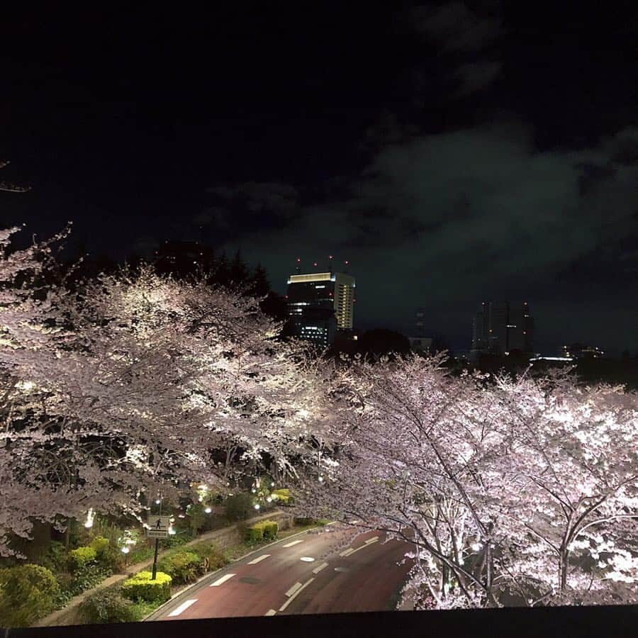 久住小春さんのインスタグラム写真 - (久住小春Instagram)「今更だけど、りーなとえみちゃんとご飯行った後ミッドタウン夜桜見に行った時の❤︎🌸 今年は沢山みれたなぁ〜 もう散っちゃったよねぇ😢」4月11日 11時54分 - koharu_kusumi.official