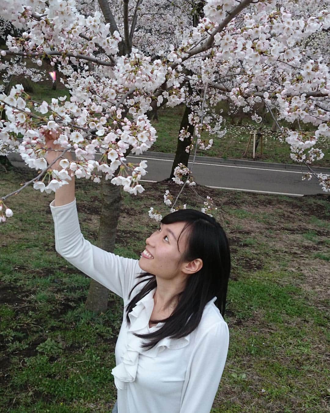 女子アナ47さんのインスタグラム写真 - (女子アナ47Instagram)「こんにちは！本日の47発信プロジェクトは、テレビ、ラジオ、インターネットと幅広い経験が強みの元群馬テレビアナウンサーの山部朱里です。 『圧巻の景色！赤城南面千本桜の満開の桜のトンネル』 赤城南面千本桜は前橋市にある桜の名所のひとつです。さくら名所１００選の地にも選ばれ、毎年多くの観光客が訪れる人気のスポットです。私は群馬テレビアナウンサー時代にニュースの中継で行ってから魅了され、群馬を離れるまで毎年プライベートでも取材でも桜を見に行っていました。 写真でもわかるように、手が届くところまでふわふわの桜を咲いているんです。ビニールシートをひろげ、心地良い太陽の日差しと青空と桜を見ながら、お友達とうとうとしたり美味しいごはんを食べながらずっと話したり日本の四季を味わっているなーと実感したものです。 毎年おまつりも開催されていて、今年は４月６日(土)〜２１日(日)まで。桜の開花状況によって変更もあるそうです！樹齢６０年ほどのソメイヨシノがおよそ１．３キロに渡り咲き誇り、満開のときの景色は圧巻です。 おまつりの期間中は……… 続きはトップページのリンクから『47発信プロジェクト』へ！  #47発信プロジェクト #アナウンサー #フリーアナウンサー #女子アナ #女子アナ47 #地方創生 #地方創生アナウンサー #マッチングサイト #マッチングサービス #47発信プロジェクト  #japanese #announcer #団体 #地方局 #47都道府県 #東京  #47project #群馬県 #群馬 #山部朱里 #群馬テレビ#gunma #toky#赤城南面千本桜 #ソメイヨシノ#焼きまんじゅう」4月11日 12時05分 - jana47com