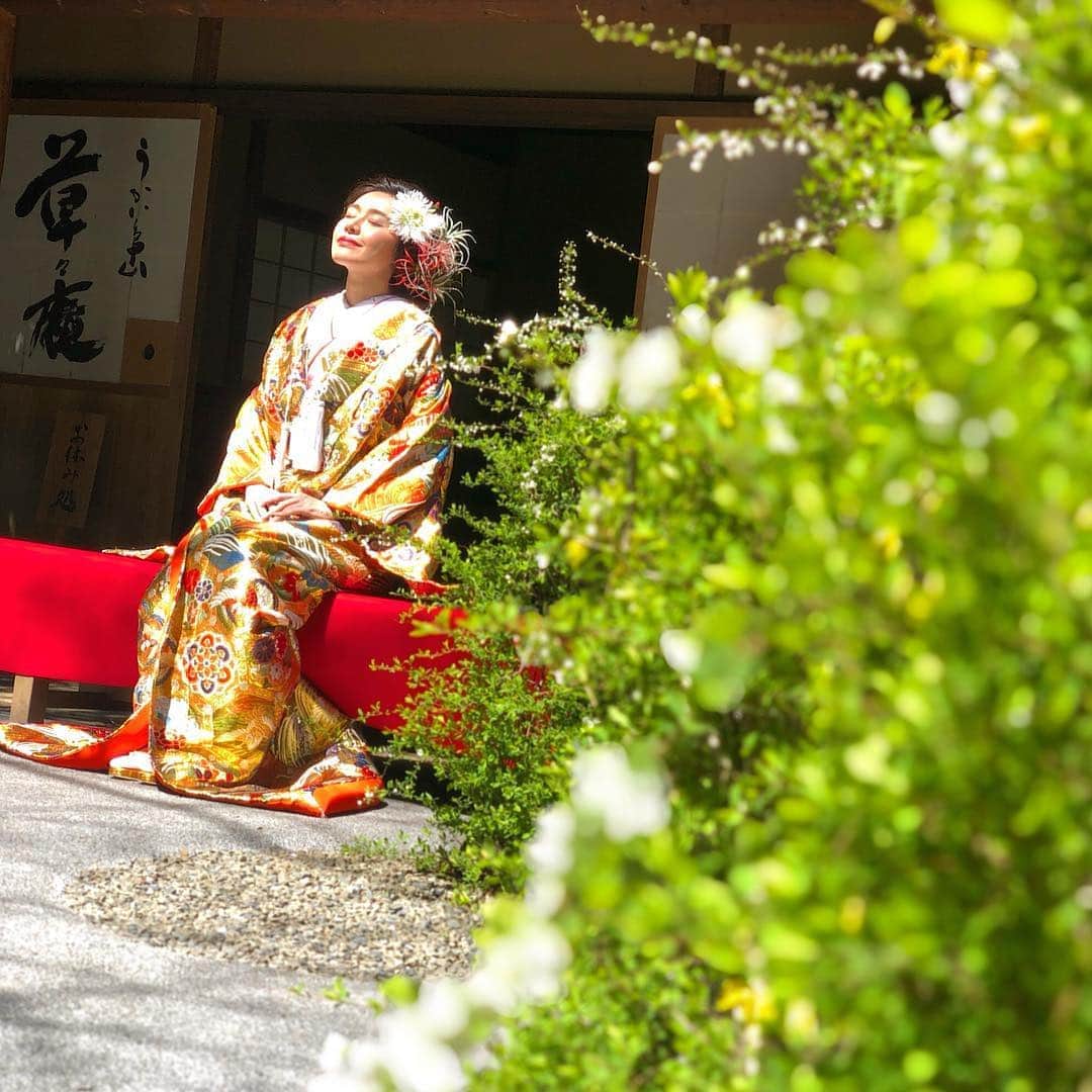 南美沙のグルメインスタ