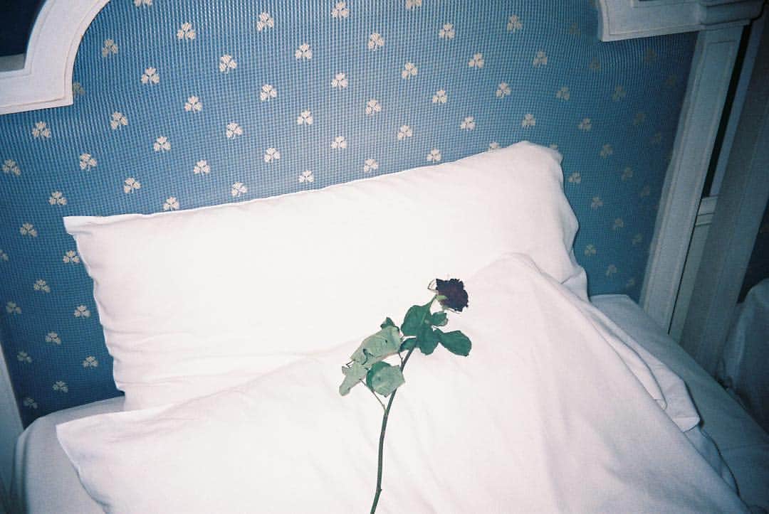 のインスタグラム：「ami film🥀  #amifilm #amiaygtrip #paris」
