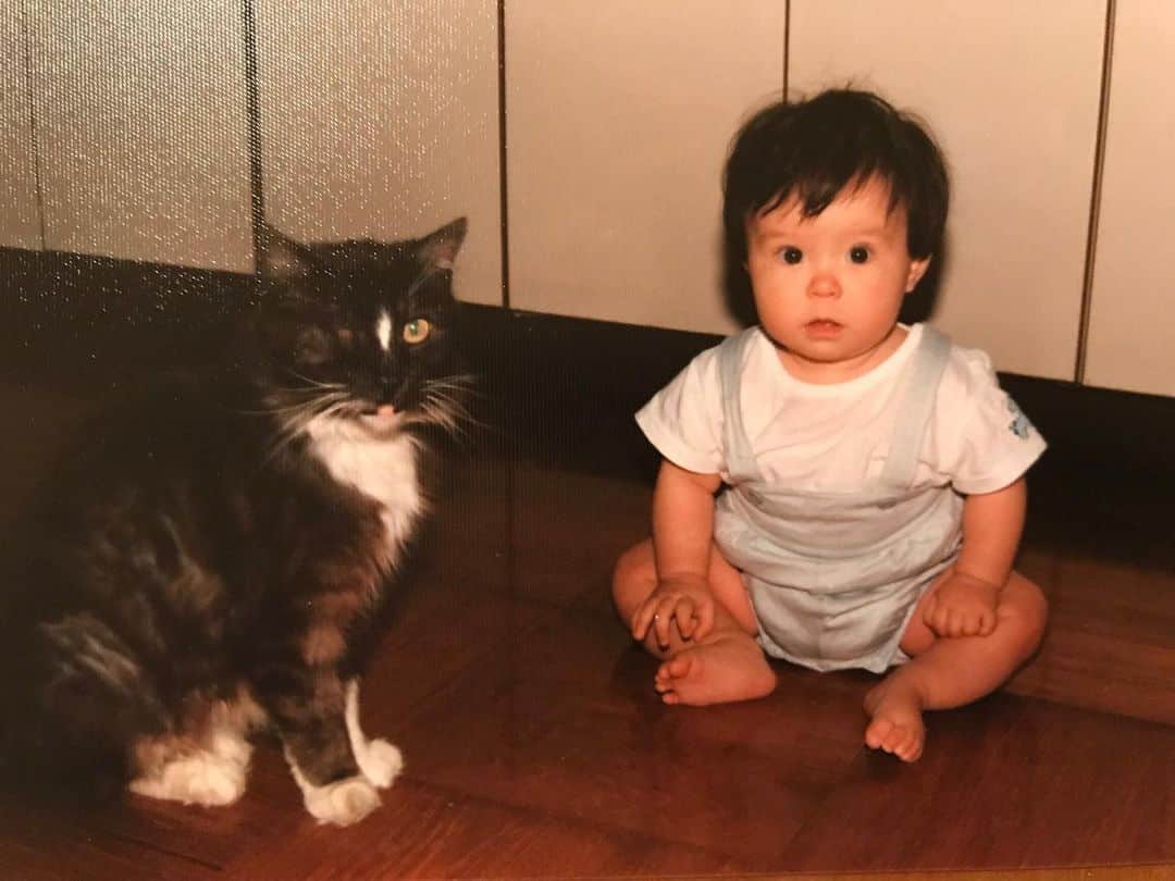 エミ・マイヤーのインスタグラム：「With my first cat Penguin in Kyoto ❤️ I’ll be performing for a adopt a pet charity this Saturday in Tokyo. 来週の土曜日(4月13日) 🐶🐈ペット保護のチャリティーイベントに出演します 下北の CLUB Queで16:30オンステージ！「HAPPY MUSIC&PETS Vol.1〜下北沢ライブサーキット＆保護犬猫譲渡会～開催決定！」こちらは京都に住んでいた時の我が家の始めての猫ちゃん、ペンギンくん🐧 #adoptdontshop #保護猫」