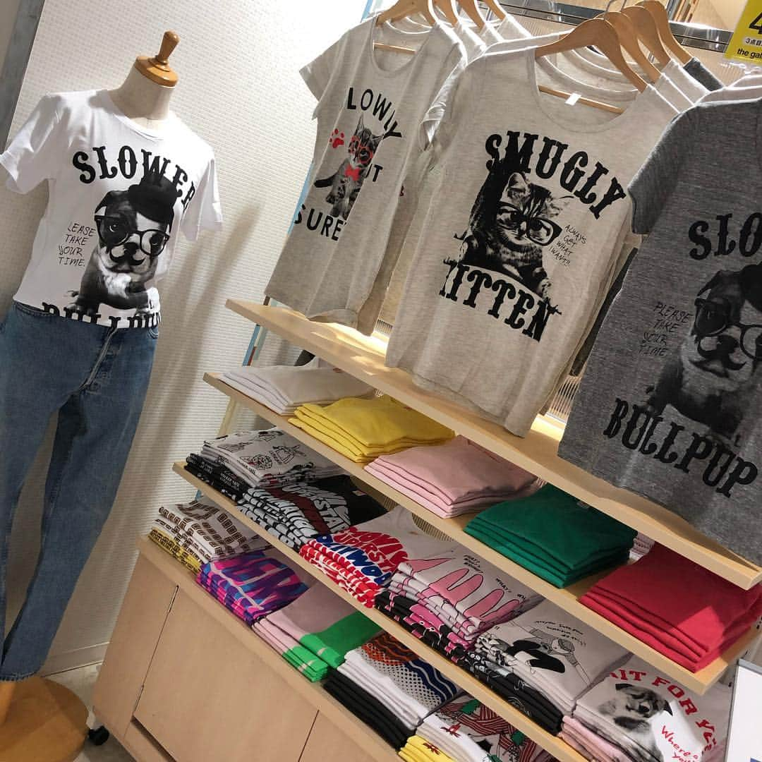 名古屋パルコさんのインスタグラム写真 - (名古屋パルコInstagram)「【LIMITED SHOP】 Goo Tee NEW OPEN！🙌💖 . 期間：4/11（木）～5/29（水） 場所：西館４F　特設会場 . ファッションの一部としてのＴシャツ』という目線から製作しているオリジナルＴシャツブランド「GooTee（グーティー）」 . 生地は赤ちゃんの高級肌着に使われる肌にやさしい上質なコットン100％の糸のみを編んで作り上げた完全オリジナルです👕 . 更に数量限定！ 店内商品5000円(+tax)以上お買い上げで、人気の柄のネコトートバックプレゼント！🐈※5枚目 . . .  #名古屋パルコ #名古屋PARCO #nagoyaparco #名古屋 #nagoya #栄 #矢場町 #gootee #tシャツ #期間限定 #limitedshop」4月11日 12時13分 - parco_nagoya_official