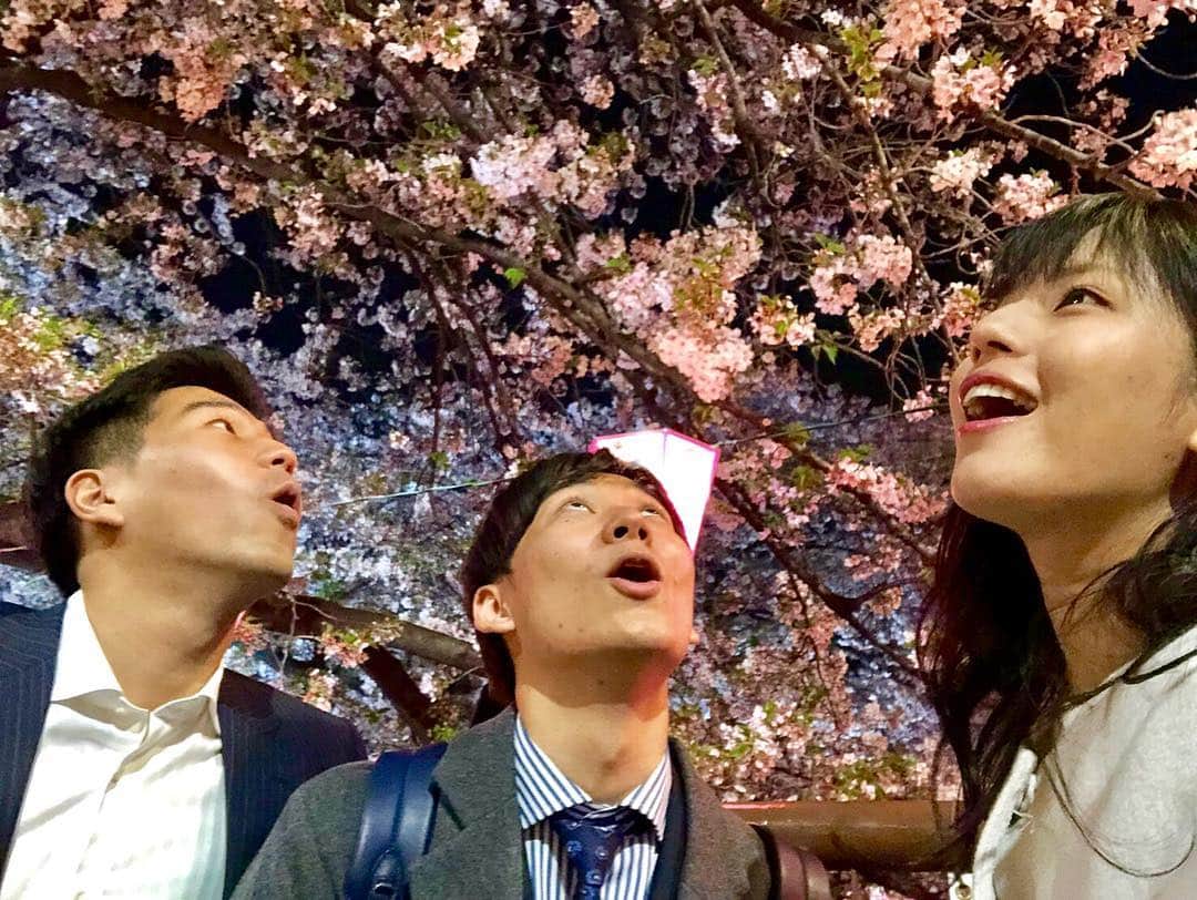 内野泰輔さんのインスタグラム写真 - (内野泰輔Instagram)「夜桜見物  先日、仕事終わりに桜を見に行きました たまにはこういうのも良いですね  #桜 #夜桜  #堤礼実 アナ  #今湊敬樹 アナ  #夜桜見物 って言いかたオシャレ」4月11日 17時53分 - taisuke_uchino