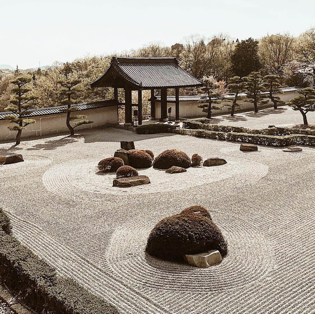 三浦大地さんのインスタグラム写真 - (三浦大地Instagram)「平和、共存、尊重。  #神勝寺 #広島 #禅」4月11日 12時26分 - daichi_1127