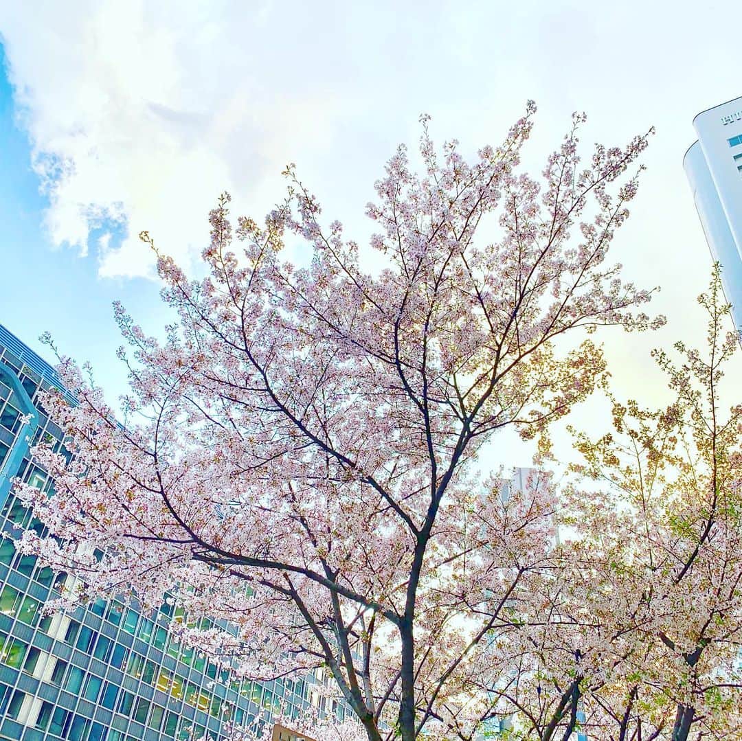 松尾貴史さんのインスタグラム写真 - (松尾貴史Instagram)「先日大阪で、読売演劇大賞優秀男優賞を祝う会を、気のおけない友人たちに催して頂きました。感謝感激です。」4月11日 12時35分 - kitsch.matsuo
