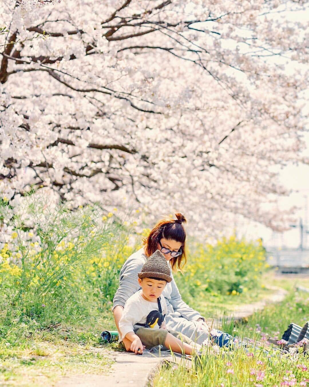 のインスタグラム：「こんにちは😊 現在、「春」をテーマにお写真・動画を募集中です✨ 本日の #タビスルキッズ はこちら💕 📷 @nonchorinさん 🚩  神奈川県・小田原市「富士見」 🎙ご本人コメント 桜と菜の花と ママとだいちゃん♡ . . ママ、 すっぴんメガネ👓で 失礼します💦 . 最近セルフポトレ始めました📷 パパが全く使えないから🙄 ＊＊＊＊＊＊ 春限定のかわいい親子風景ですね✨ いつも、ステキなお写真ありがとうございます💕」