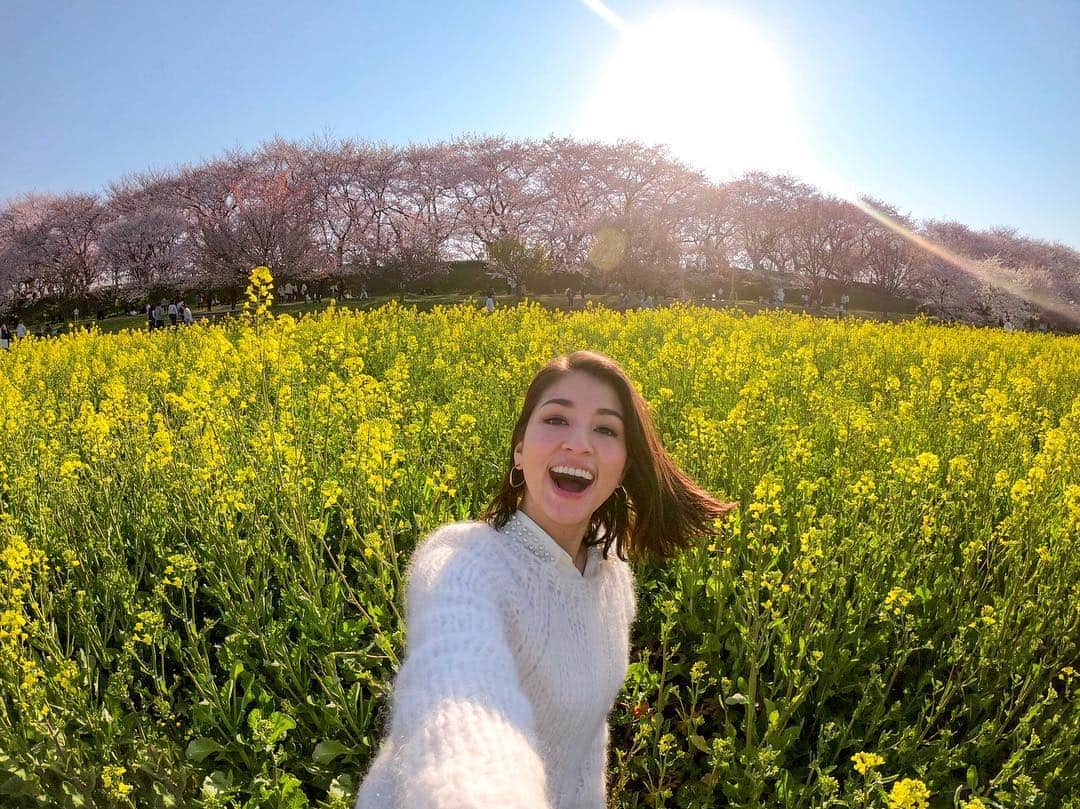 比嘉バービィさんのインスタグラム写真 - (比嘉バービィInstagram)「桜 & 菜の花  ピンクと黄色のコントラストが美しい#権現堂 . 何年ぶりかに行ったら変わらず綺麗な景色が迎えてくれた。 . . . 広角で撮れる#GoPro は広い景色にバッチリ! #菜の花 の高さに合わせて中腰になった事は内緒です🤫 . #桜 #花見 #埼玉 #菜の花 #春 #Spring #cherryblossoms  #flowers #flores #Japon #GoProJP #goprogirl  #GoProBarby」4月11日 13時06分 - barby724