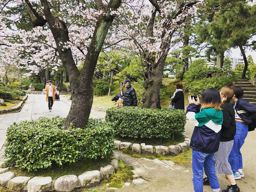 NCC新潟コンピュータ専門学校さんのインスタグラム写真 - (NCC新潟コンピュータ専門学校Instagram)「一眼レフとスマホカメラの写りの違いを知るための課外授業！ といいつつ、みんな楽しんでいました😊  #新潟コンピュータ専門学校 #nsgカレッジリーグ #お花見 #カメラ #写真 #一眼レフ #インスタ #桜 #白山公園」4月11日 13時25分 - ncc_niigata