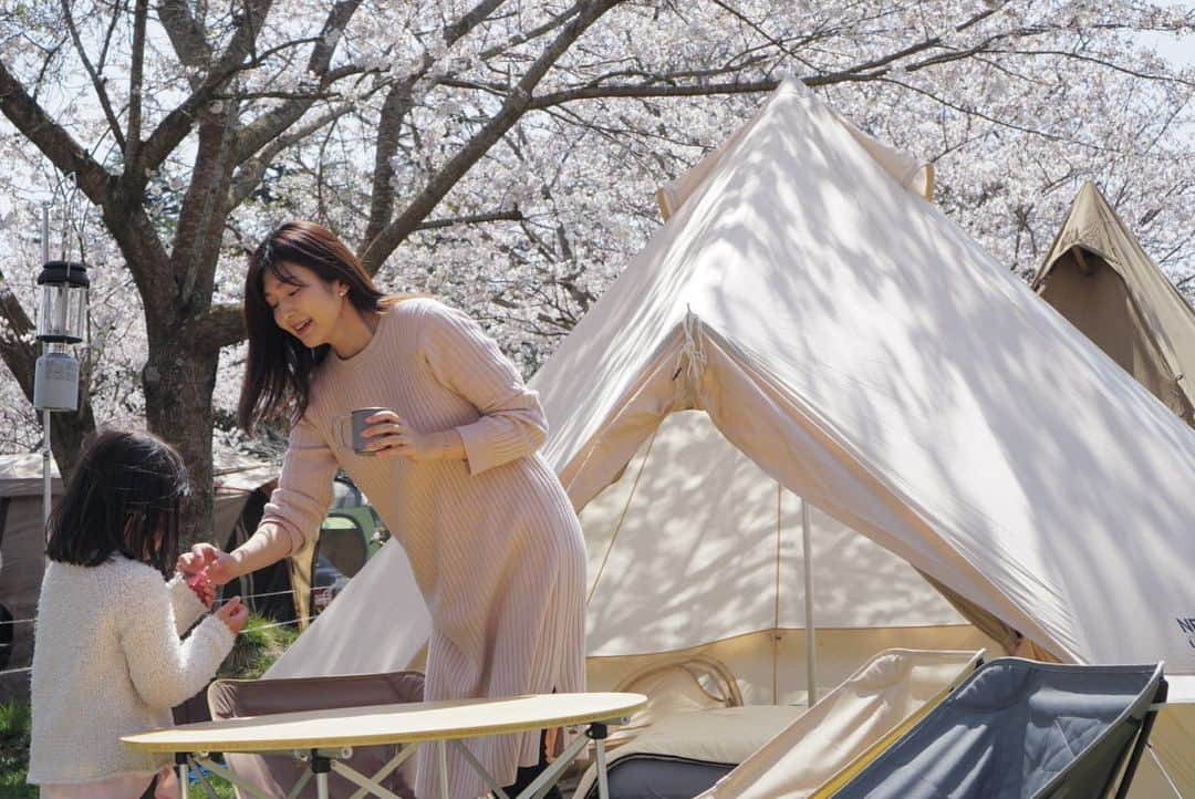 岩上陽子さんのインスタグラム写真 - (岩上陽子Instagram)「🌸⛺️* 日頃の行いがいいからか満開の下にテント張れた🤤* * #桜キャンプ #お花見キャンプ #花見キャンプ * * #neutraloutdoor  #ニュートラルアウトドア#outdoor#outdoorlife#camp#camping#mamalife#geテント#グランピング#ヘリノックス#成田ゆめ牧場ファミリーオートキャンプ場#キャンプ場#家族キャンプ#子連れキャンプ#hinataoutdoor#camphack取材#5歳#ママライフ#子連れ#コヅレ#子育てママ#アラサーママ#アラフォーママ#ソトアソビ#キャンパー#グルキャン#ファミキャン」4月11日 13時28分 - yokoiwakami