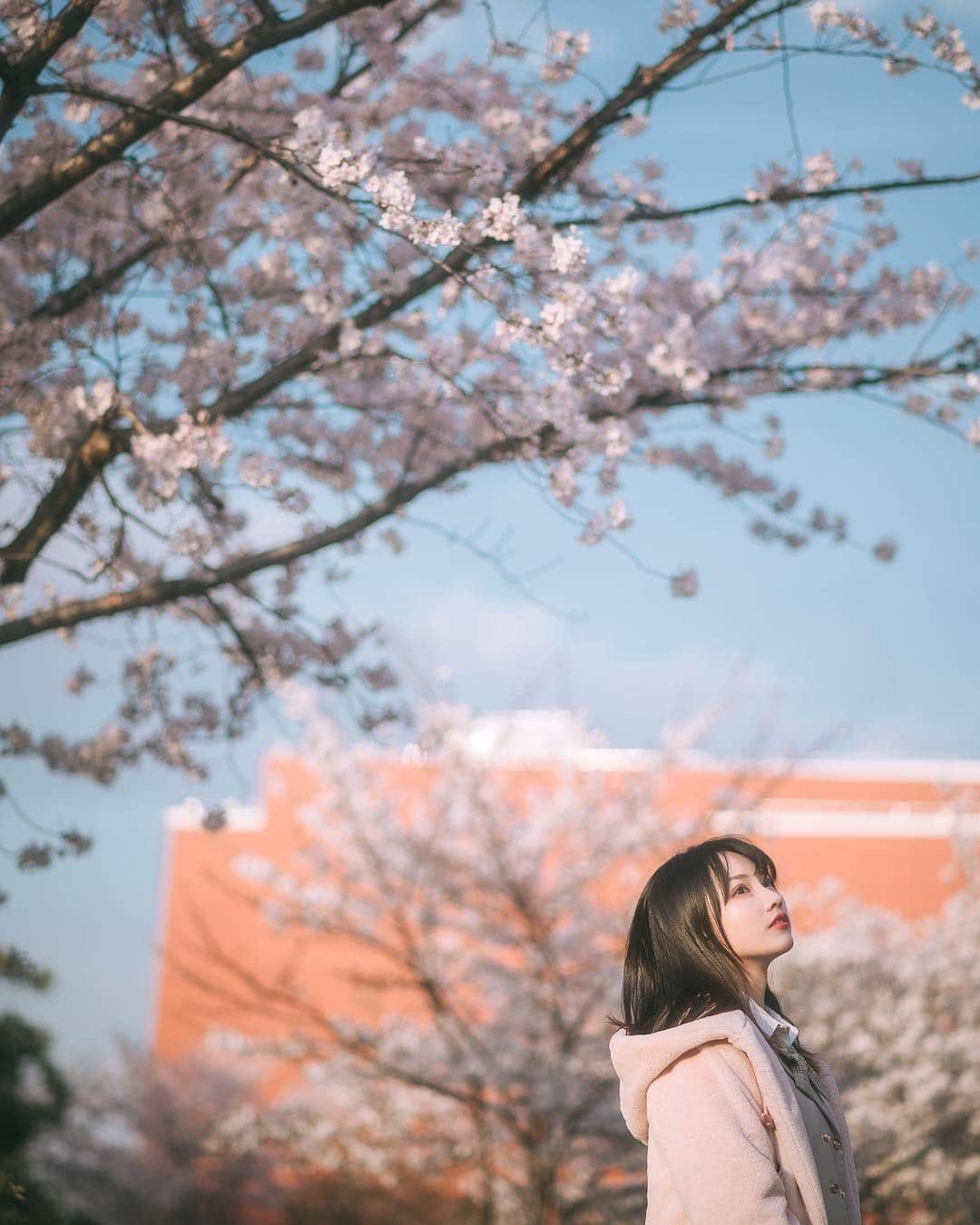 犬神洛洛子さんのインスタグラム写真 - (犬神洛洛子Instagram)「今年的樱花合集🌸」4月11日 13時39分 - rakukoo