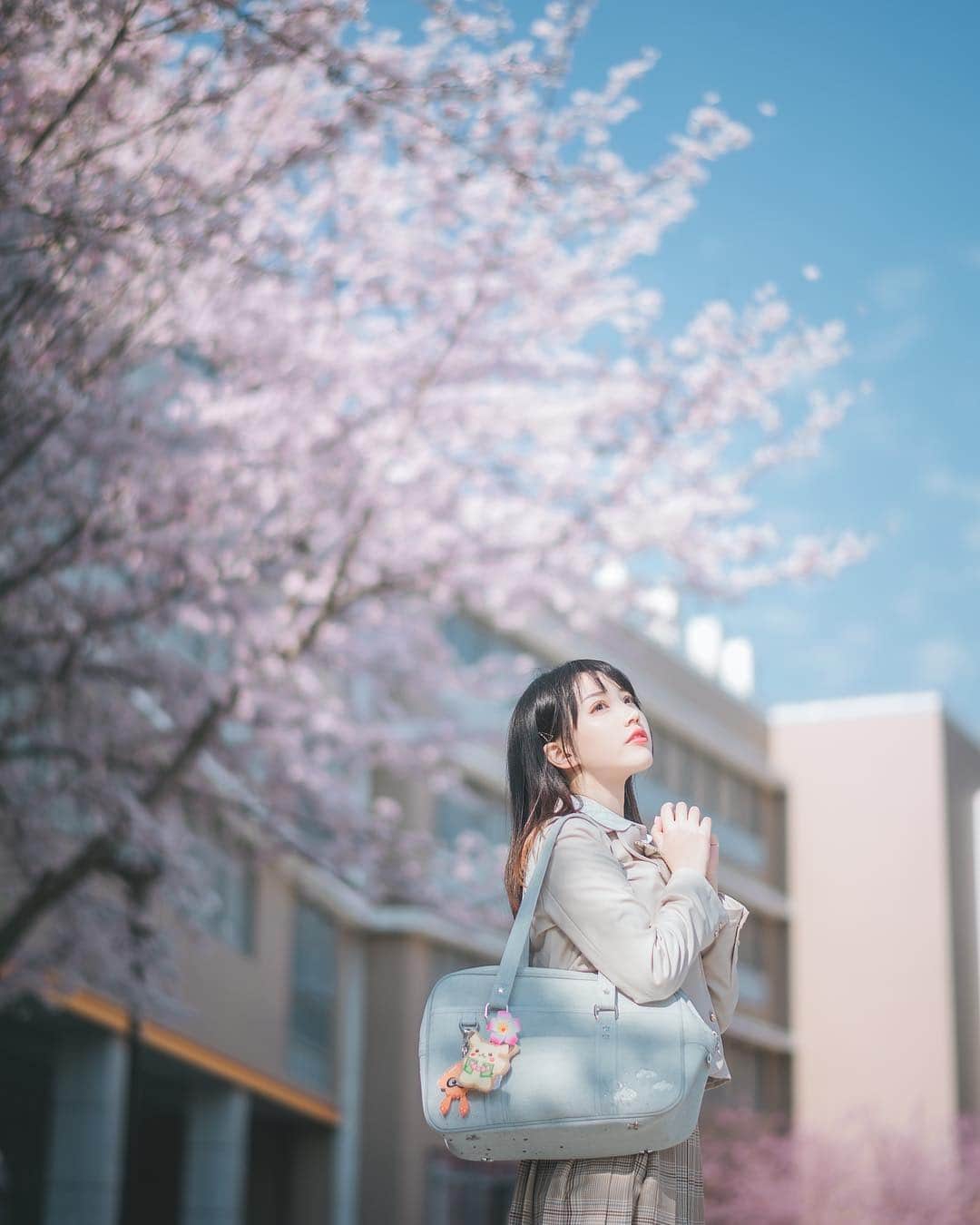 犬神洛洛子さんのインスタグラム写真 - (犬神洛洛子Instagram)「今年的樱花合集🌸」4月11日 13時39分 - rakukoo
