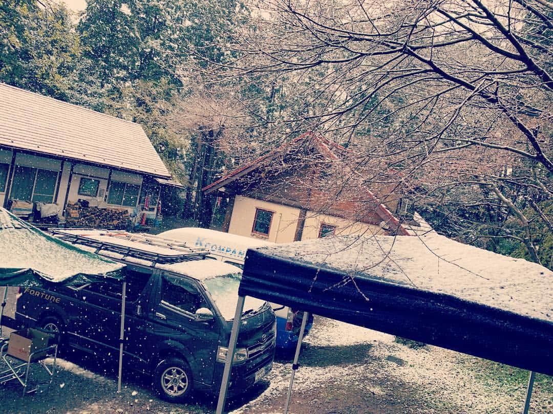 最上もがさんのインスタグラム写真 - (最上もがInstagram)「昨日、撮影してたら雪降っててびっくりした。雪好きだな。すぐ雨に変わって溶けちゃったけど。 まさか雪と桜を同時にみるとは思わなかった。」4月11日 13時52分 - mogatanpe