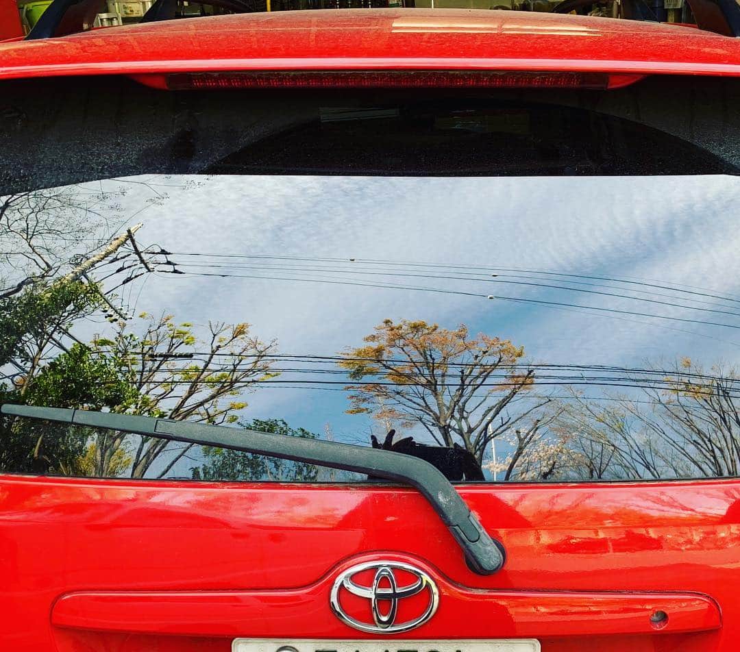 榊いずみさんのインスタグラム写真 - (榊いずみInstagram)「ありがとう。大好きだったなぁ。 #corollafielder #redcar #mycar」4月11日 14時02分 - izumizmroom