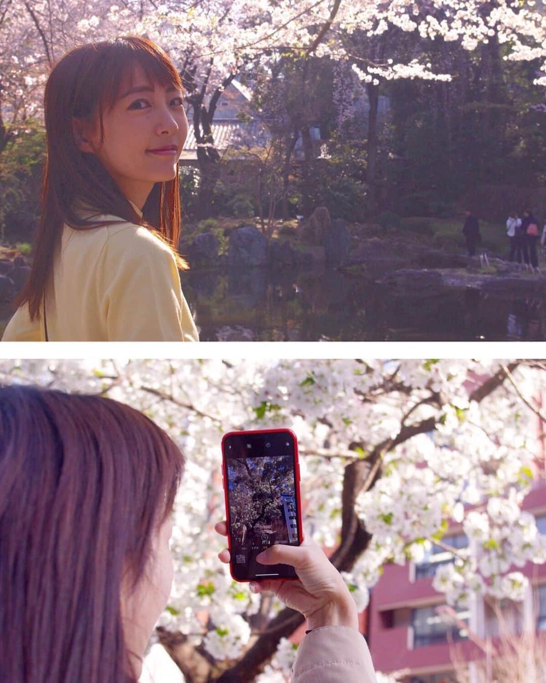 うえむらちかさんのインスタグラム写真 - (うえむらちかInstagram)「疲れた時は今年の桜を見て癒されましょう🌸 . 千鳥ヶ淵公園にお花見に行ってきた時の写真を載せますね📸 . photo by ☞ RaiN  桜の季節になると、桜グッズもたくさん出るので集めるのが楽しいです☺️ . @areti_jp の #シャンプー #トリートメント #化粧水 はボトルが桜のかたちになっていてお風呂やお風呂上がりも春気分🌸 . 化粧水の#うる肌レシピローション には #美肌菌 が配合されていて、肌トラブルの原因である皮脂を食べて、代わりに保湿成分を生み出してくれるんだそう♪  どんどん培養していこうと思います笑  あー！ 早くあったかくなって欲しいなあ☀️ .  #桜 #千鳥ヶ淵 #お花見 #トライアクティブシャンプー  #トライアクティブトリートメント  #アレティ #Areti #化粧水 #ローション #うる肌レシピ #L1709 #美容すきな人と繋がりたい #写真好きな人と繋がりたい」4月11日 14時24分 - uemurachika