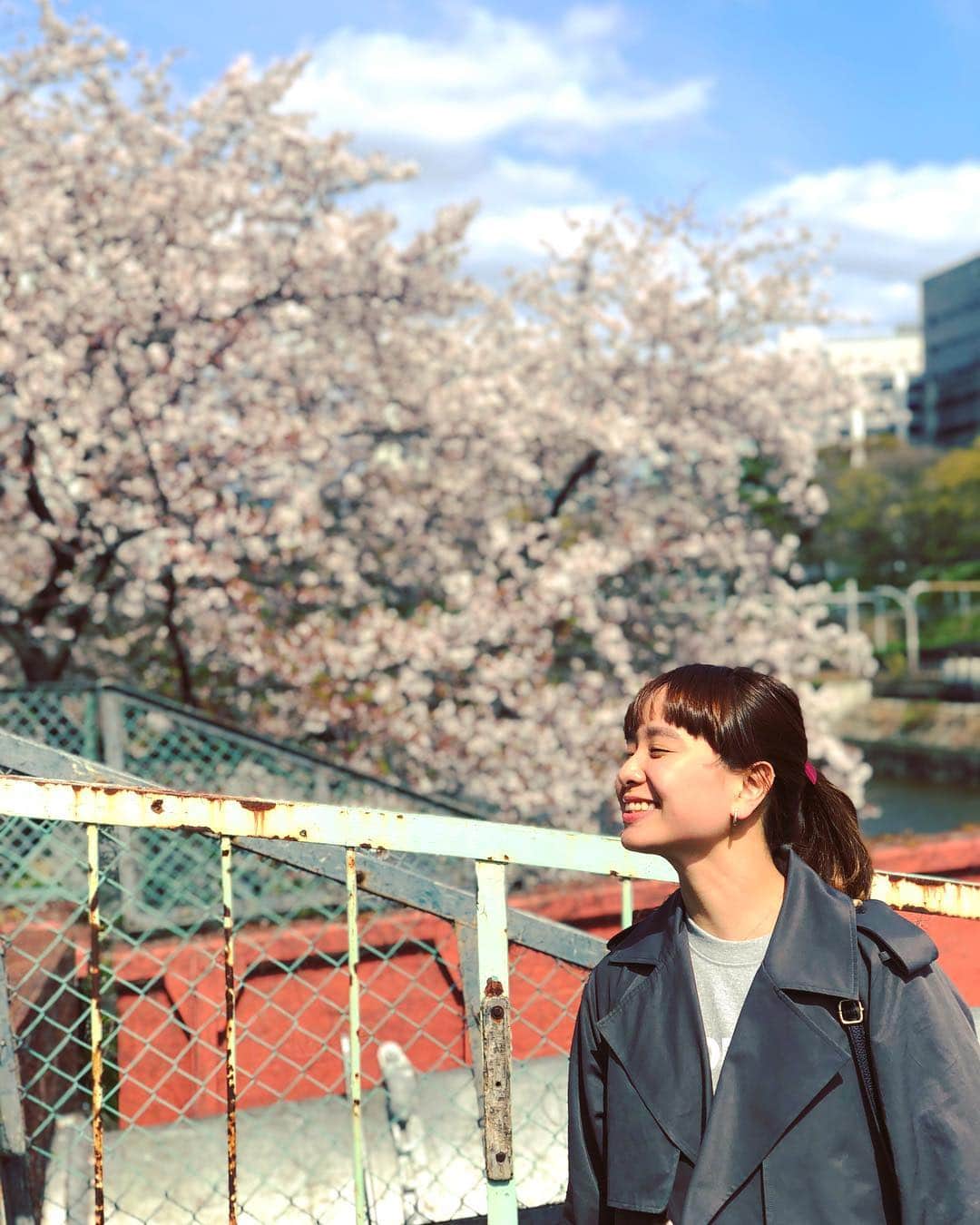小春さんのインスタグラム写真 - (小春Instagram)「桜そろそろ終わりだね〜 #姉カメラ」4月11日 14時24分 - suttokodokkoiii