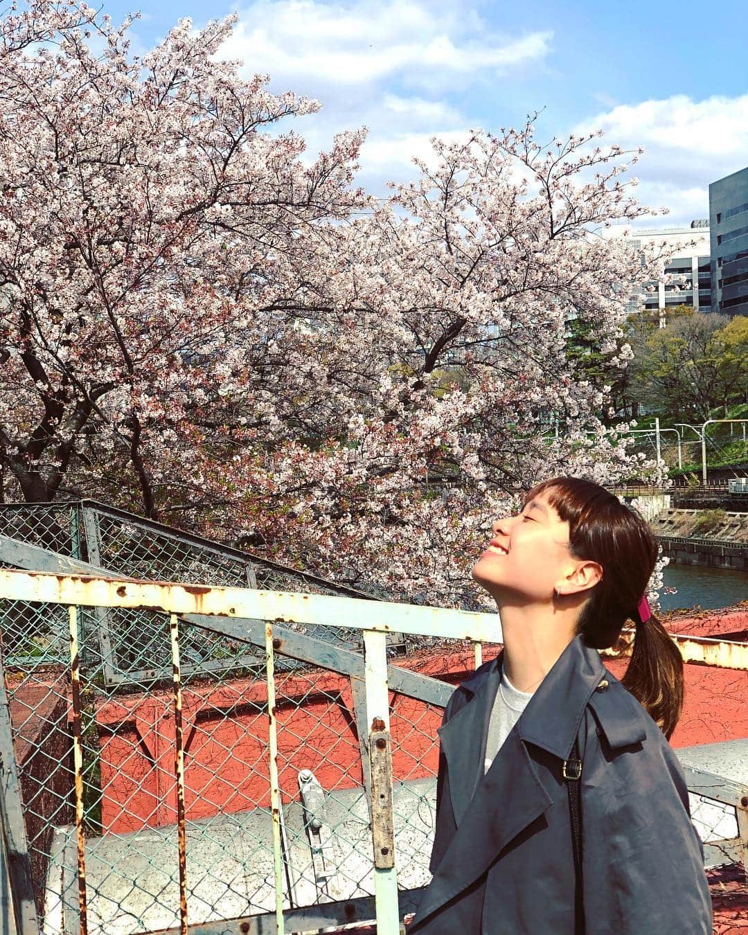 小春さんのインスタグラム写真 - (小春Instagram)「桜そろそろ終わりだね〜 #姉カメラ」4月11日 14時24分 - suttokodokkoiii