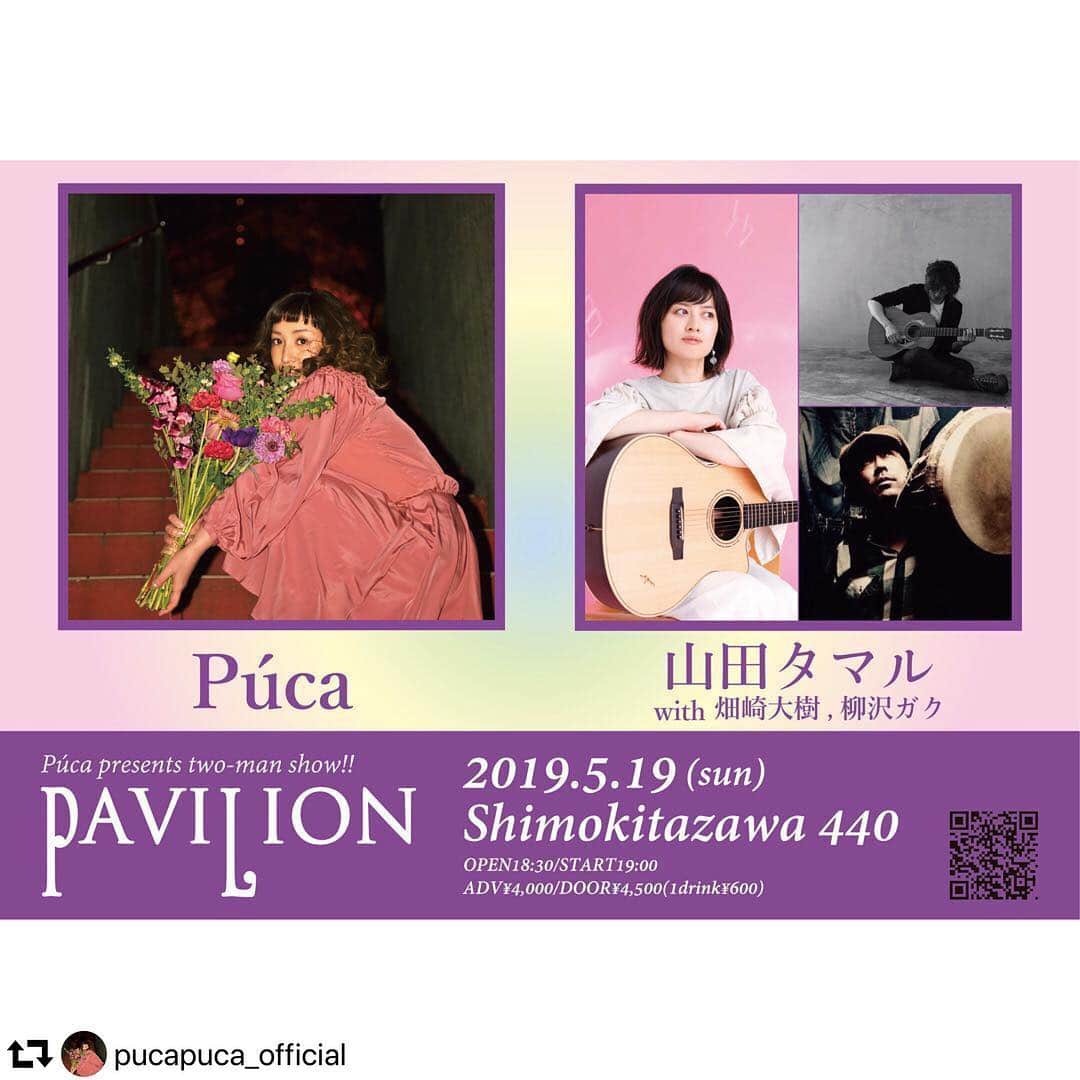 タマルのグルメインスタ