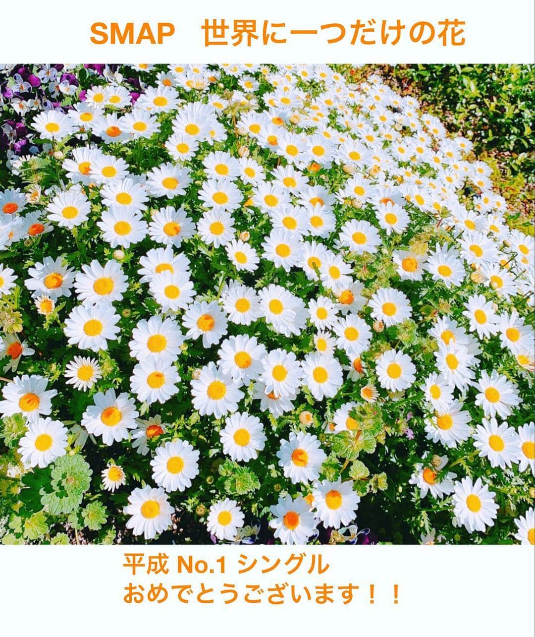 上坂嵩さんのインスタグラム写真 - (上坂嵩Instagram)「#SMAP #世界に一つだけの花  #メーテレ #ドデスカ #上坂嵩」4月11日 14時53分 - takashi_uesaka_nbn