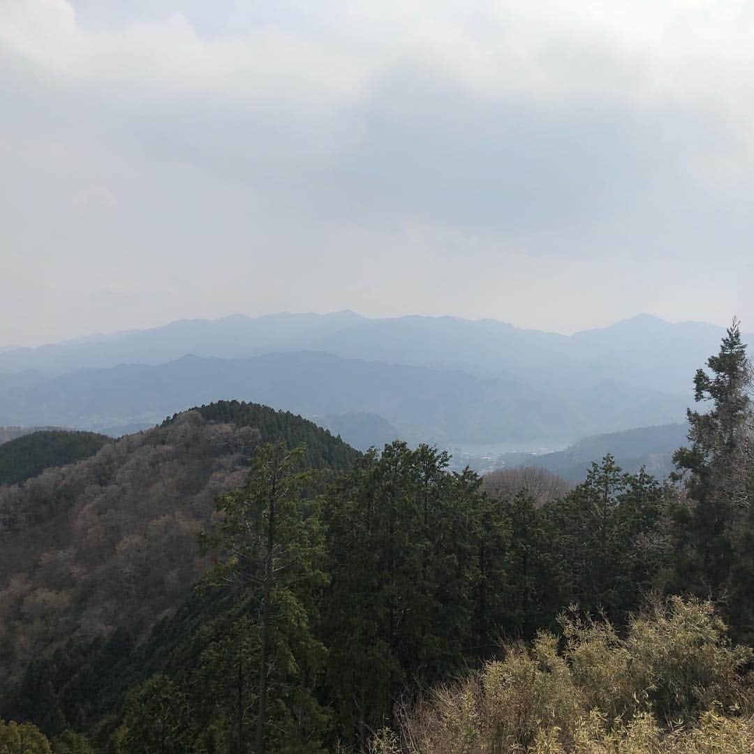 鳳真由さんのインスタグラム写真 - (鳳真由Instagram)「またまた日曜日は登山！  桜はまだ蕾の部分が多かったけれど 高尾山、城山、景信山と頑張りました。  傍に咲いている何種類ものスミレが可愛くて、しんどくて意識が朦朧としている時にも癒されましたね。  途中のお茶屋さんで買ったラムネ、 美味しい空気の中で一気飲みしたら最高でした❤️ #登山 #高尾山 #城山 #景信山」4月11日 14時49分 - ootorispecialpanic