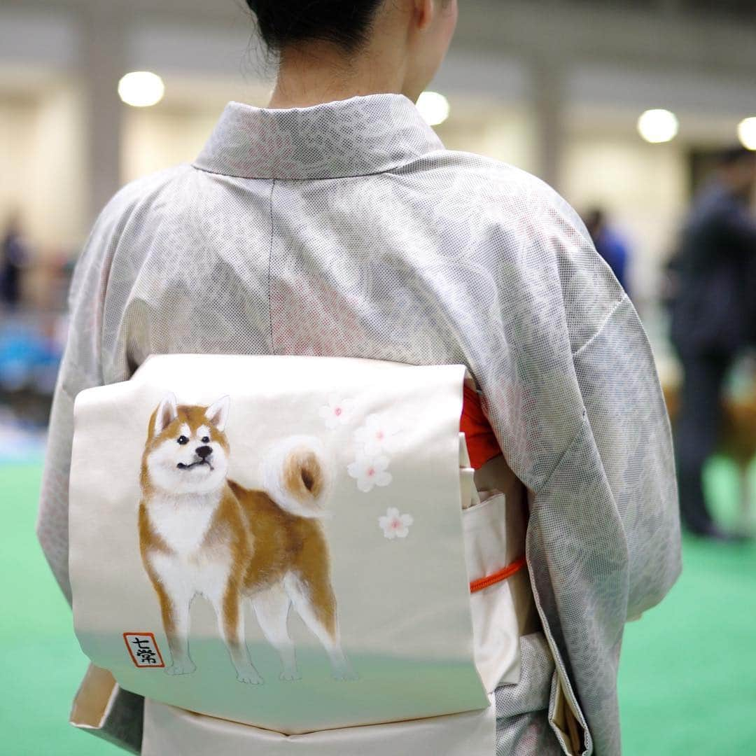 The Japan Timesさんのインスタグラム写真 - (The Japan TimesInstagram)「People from around the world gathered for the annual FCI Japan International Dog Show being held at Tokyo Big Sight from March 30 to 31. The event is the biggest dog show in Japan, with 2,201 canines representing 134 different breeds at this year’s edition, which marks the 70th anniversary of the foundation of the Japan Kennel Club. "They must have a normal life," says handler and trainer Sergio Amien. "They have to be able to go outside and run around. That’s very important. Many people think that dog shows give dogs a hard life, but his life is easy.” Read the full story and see the video with the link in our bio. (@ryuseitakahashi217 photos) . . . . . . #Japan #Tokyo #dogs #dogshow #dogsofinstagram #dogstagram #dog #doggo #日本 #東京 #犬 #犬のいる生活 #ドッグ #🐩」4月11日 14時56分 - thejapantimes