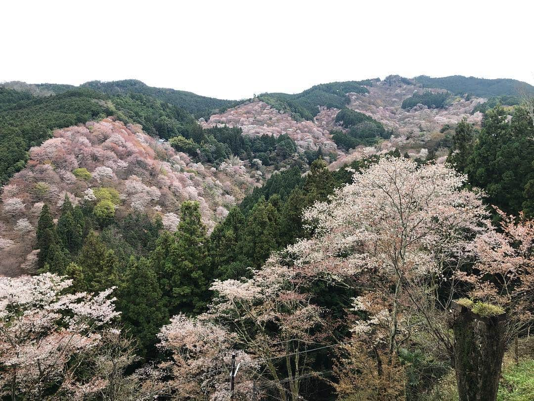 井阪郁巳のインスタグラム