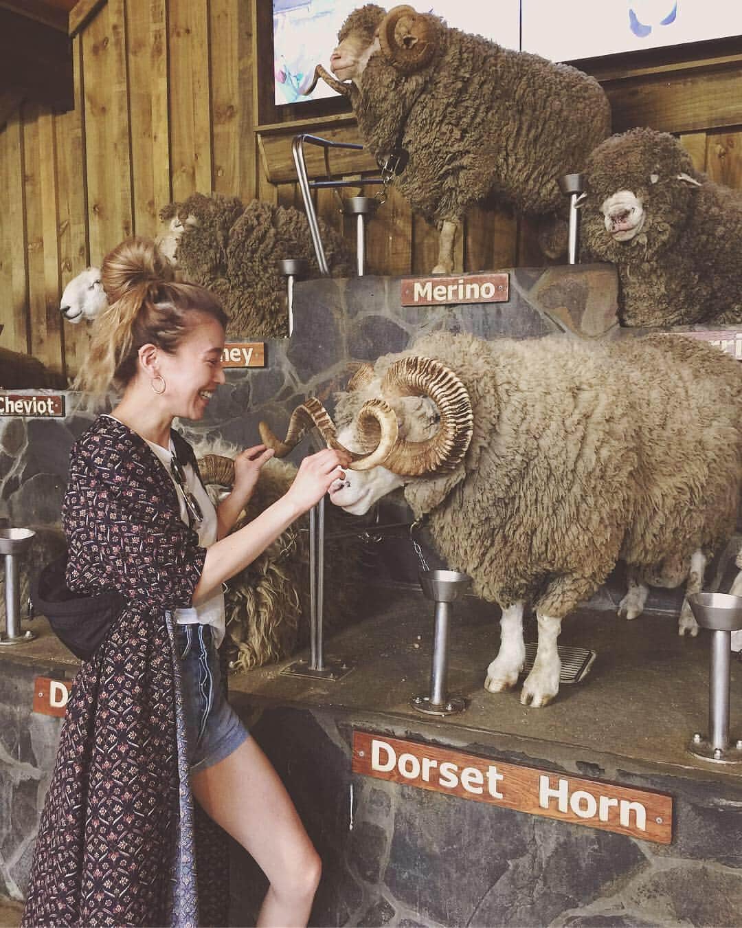 階上実穂さんのインスタグラム写真 - (階上実穂Instagram)「6日目はAgrodome羊の毛刈りショー🐏🌳 前日にドライヤーがぶっ壊れたせいで頭ボッサボサでやってきたw  #nz🇳🇿 #ニュージーランド旅行 #newzealand #rotorua #agrodome #羊の毛刈りショー #sheep🐑」4月11日 15時28分 - miho_ishigami