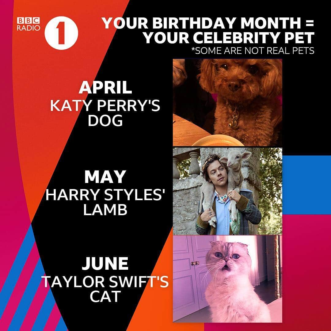BBC Radioさんのインスタグラム写真 - (BBC RadioInstagram)「***not all of these are pets*** but we’re @camila_cabello’s dog and that’s all good with us!  Who did you get? #NationalPetDay」4月12日 1時44分 - bbcradio1