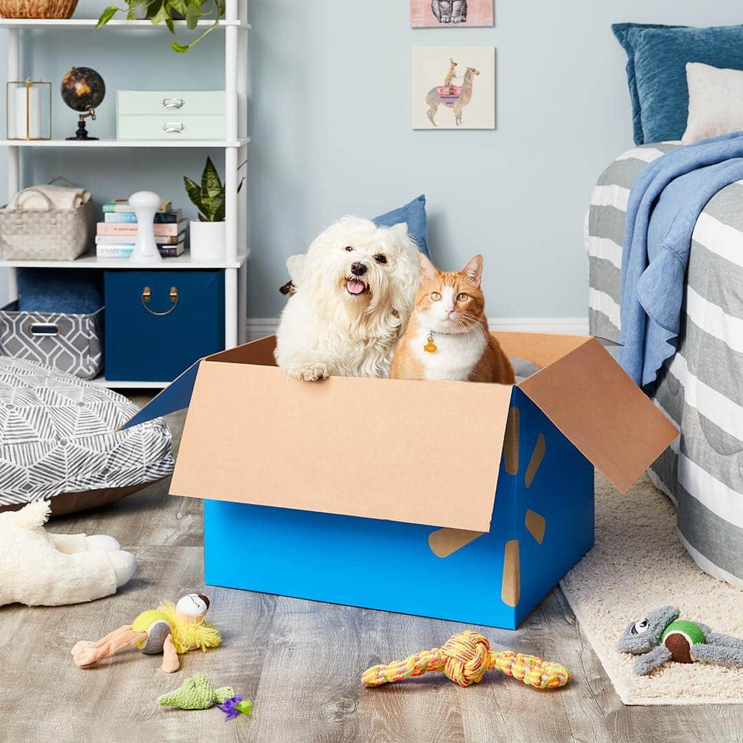 Wal-Mart Stores, Incさんのインスタグラム写真 - (Wal-Mart Stores, IncInstagram)「We wanted an excuse to post pictures of pets in boxes and it happened to be #NationalPetDay. No one was harmed in the making of this photo, just our hearts. From the cuteness. Shop link in bio. #walmartpets」4月12日 1時57分 - walmart