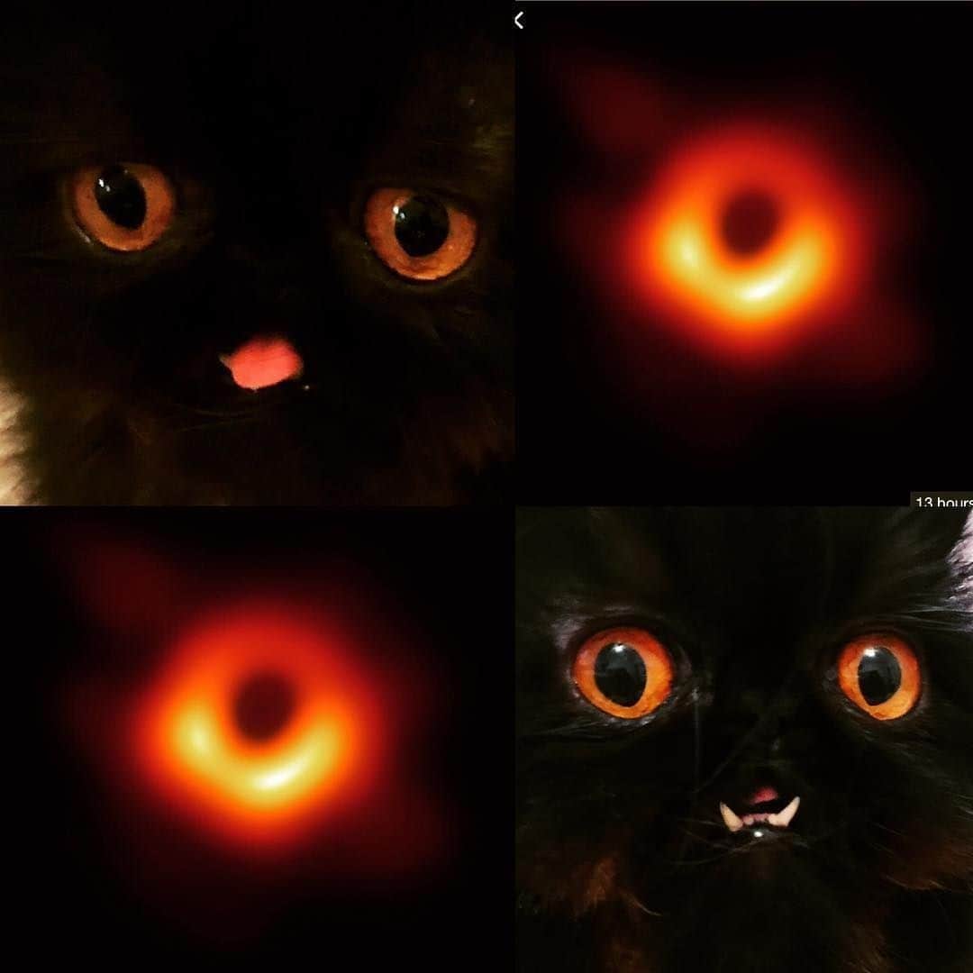 Aww Clubさんのインスタグラム写真 - (Aww ClubInstagram)「Black hole: Am I a joke to you 😭😭😭⠀ ⠀ 📷@luckysuperstarcat⠀ ⠀ Want @9gag to feature your cat 🐾 Join our community now 😺 Link in bio⠀ ⠀ #meowed #luckysuperstarcat #blackcat #blackhole #persian #science #xfilethemeplays」4月12日 2時00分 - meowed