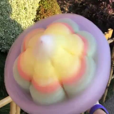 Walt Disney Worldのインスタグラム：「Life is sweeter with cotton candy! #FreshEpcot #WaltDisneyWorld (📷: @jdegeus)」