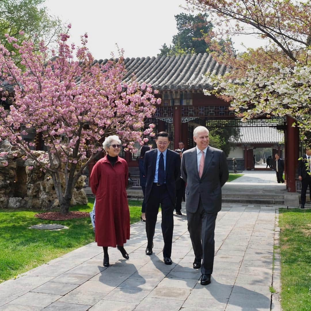 ロイヤル・ファミリーさんのインスタグラム写真 - (ロイヤル・ファミリーInstagram)「Today in Beijing The Duke of York has carried out several engagements including visiting the Gongzi Ting at Tsinghua University and art museum. Opened in 2016, the museum is the largest university museum in China & contains more than 13,000 items, including paintings, calligraphy, embroidery, porcelain, furniture and bronze work. The Duke also viewed a Kesi tapestry of the Amitayus Buddha from the Qianlong period (1711-1799) of the Qing Dynasty. His Royal Highness then attended Day One of #pitchatpalace China 3.0. To find out more follow @hrhthedukeofyork」4月12日 2時56分 - theroyalfamily