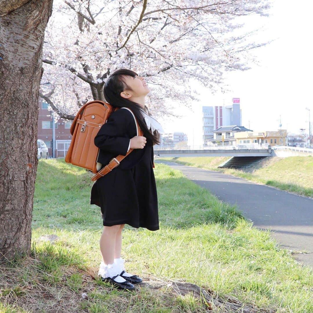Akiさんのインスタグラム写真 - (AkiInstagram)「4/11 ・ いまだにEテレが大好きな JS👧🏻 ・ ・ サボさんが 「ブルータス…おまえもか！！！」 って連呼してる場面があるんだけど🌵 ・ ある日娘が真似をしてて🗣 ・ 👧🏻「ブルースター…おまえもか！！！」 ・ #誰 #いきなりイケメンきた #ブルースター ・ ・ そんなJSですが 小学校では慣らし給食も始まり 毎日元気に通学してます☺️ ・ 一方母ちゃんは 先生から 「サキさん」と呼ばれる娘に 違和感しかありません👩🏻 ・ ・ 今日も名刺かのように 手作りおりがみ手裏剣を配ったようで😌 ・ 「名前知らないけどいつも手裏剣くれる子」 イメージになりそうな予感🕴 ・ ・ ・ #入学式#入学式コーデ#新一年生#キッズフォーマル#JSガール」4月11日 18時02分 - mas_0504