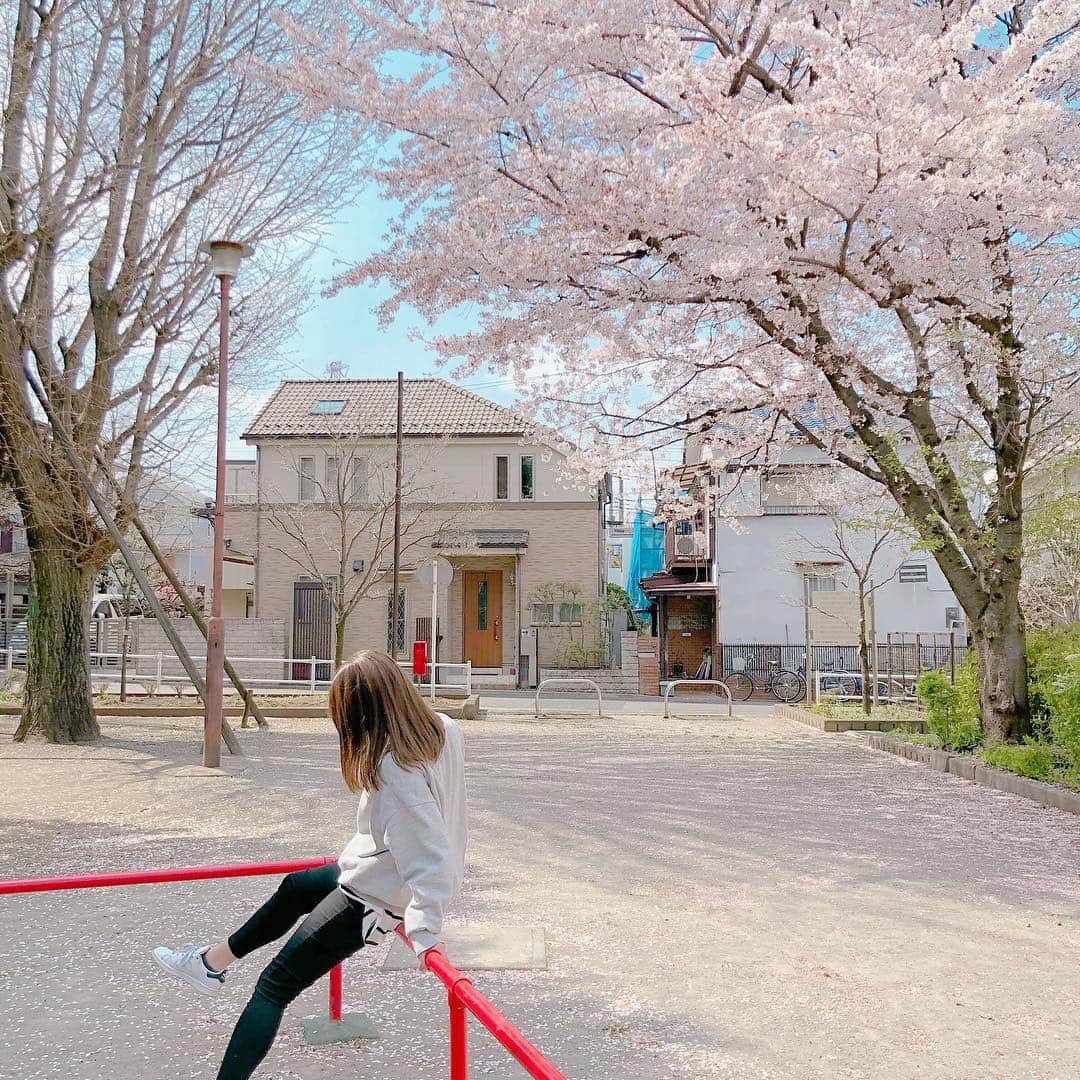 ななぴさんのインスタグラム写真 - (ななぴInstagram)「めっちゃ天気いい日に お花見したいなぁ🌸  あぁ、桜散っちゃったかなぁ？ 東北はまだ咲いてる？」4月11日 18時08分 - __nanapgram__