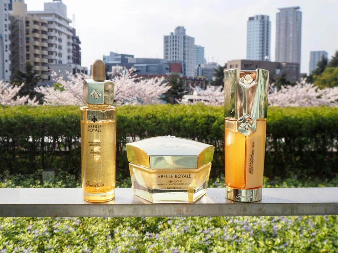 こままりえさんのインスタグラム写真 - (こままりえInstagram)「✴︎ etRouge/NikkeiLUXE × GUERLAIN🐝 . ゲラン 大人のスキンケア教室へ 参加してきました☺️🌼 . 私は2月くらいから @guerlainjp の美容液 アベイユ ロイヤル ダブルRセロムを 使っているんだけど妊娠中なのに 自分のお肌の調子がぐんっとよくなってから 完全に信頼を置いています🐝✨✨ . 今回のイベントでは アベイユ ロイヤルシリーズを ラインで使いながら 改めて正しくて効果的な スキンケアの仕方を教わりました😆 . 他の製品もラインで使ってみて 改めてアベイユ ロイヤルの成分の #ハチミツパワー はすごいと思いました❤️ . 元々つかっている美容液はもちろん 今回プラスして気になったのは アベイユ ロイヤル ウォータリーオイル✨ 水のようにさらりとして これからの時期よいかも😉 そしてクリームも使い心地よかった✨ . ハチミツ入りのオリジナルスイーツも 美味しかった😋🍯🐝 . #etrouge #nikkeiluxe #GUERLAIN #ゲラン #アベイユロイヤル #スキンケア #アベイユロイヤルダブルRセロム #ダブルRセロム #黒ミツバチ #はちみつ #ロイヤルゼリー #つるん #ぷるん #ハリ感 #角質ケア #リフトアップ #美容液 #ピーリング #オイル #オイル美容 #クリーム #PR #abeilleroyale #skincare」4月11日 18時23分 - komamarie